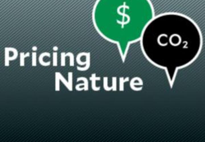 Pricing Nature Podcast Logo