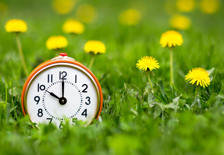 Clock in grassy field with dandelions